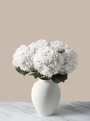 Large White Hydrangea Bunch (5 Stems)