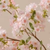 p097_g2 Japanese Cherry Blossom Faux Branches — Blush
