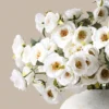 White Rose Faux Arrangement (72 Roses)